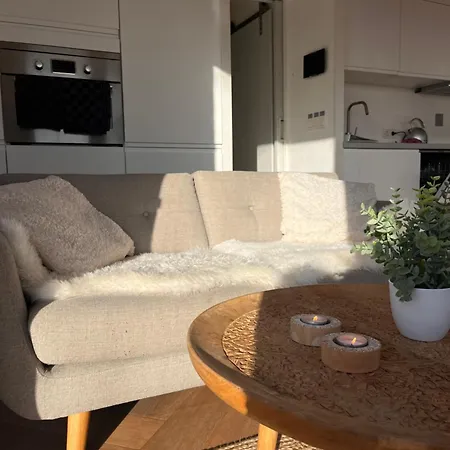 Luxury Houseboat Liberdade With Sauna And Dinghy Botel